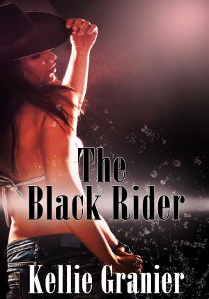 Cover of the book The Black Rider by Melisa Poche