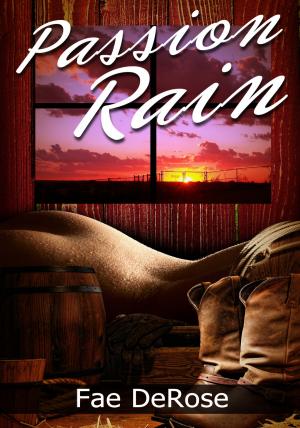 Cover of the book Passion Rain by Breana Kohr