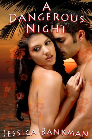Cover of the book A Dangerous Night by Dakota Deece
