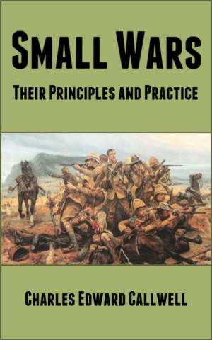 Cover of the book Small Wars by Herbert W. McBride
