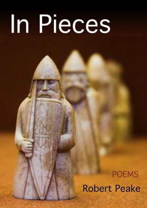 Book cover of In Pieces