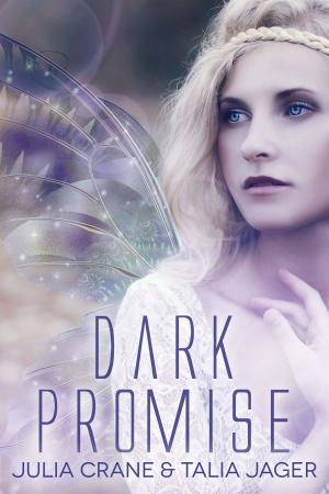 Cover of the book Dark Promise by Nelly Harper