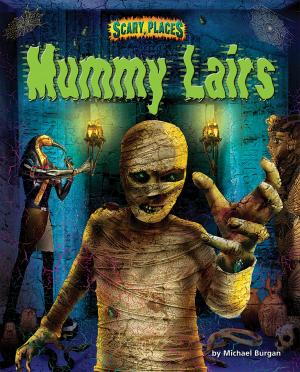 Cover of the book Mummy Lairs by Michael Teitelbaum