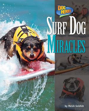 Book cover of Surf Dog Miracles