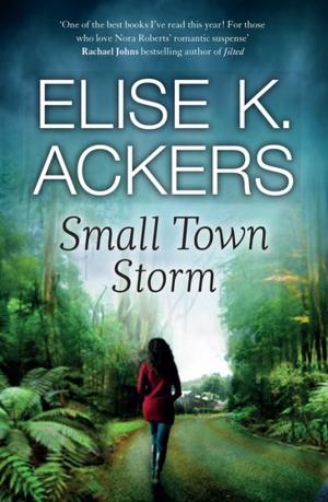 bigCover of the book Small Town Storm: Destiny Romance by 