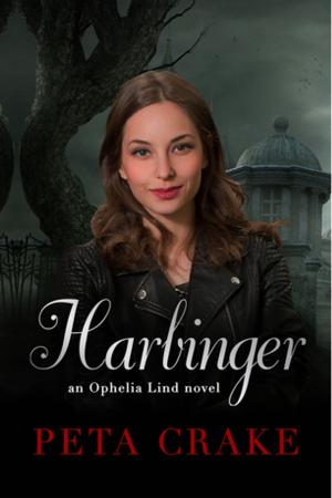 Cover of the book Harbinger: Destiny Romance by George Ivanoff