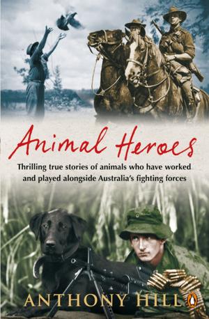 Cover of the book Animal Heroes by Kate McClymont