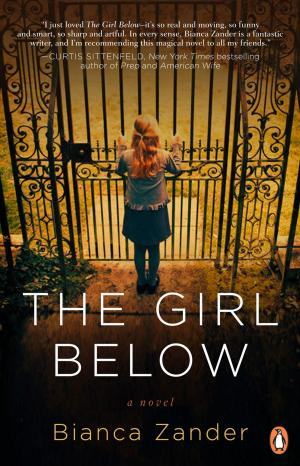 Cover of the book The Girl Below by Peter Jones