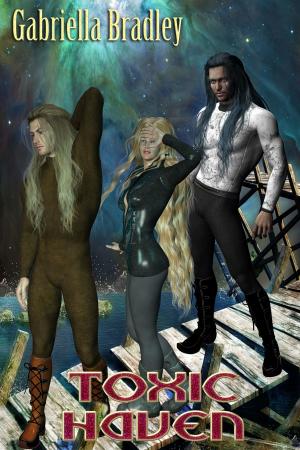 Cover of the book Toxic Haven by Belle D. Ware