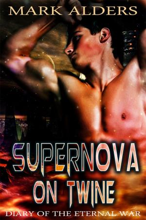 Cover of the book Supernova on Twine by Robin van Rheijn
