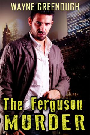Book cover of The Ferguson Murder