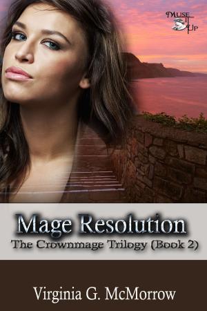 Cover of the book Mage Resolution by Rosalie Skinner, Cyrus Keith, John B. Rosenman, Joanne Elder