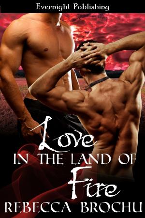 Cover of the book Love in the Land of Fire by Claire Gillian