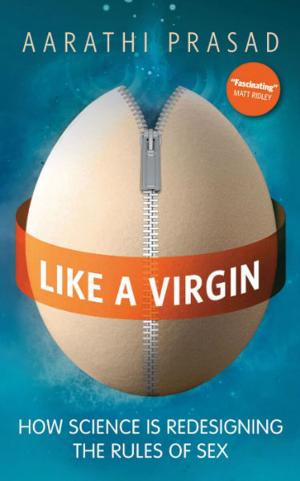 Cover of the book Like a Virgin by Bastian Obermayer, Frederik Obermaier