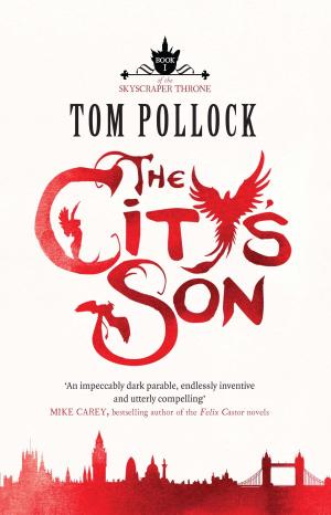 Book cover of The City's Son