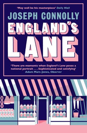 bigCover of the book England's Lane by 