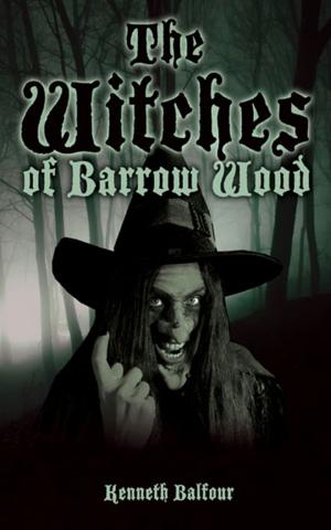 Cover of the book The Witches of Barrow Wood by Barbara Furguson