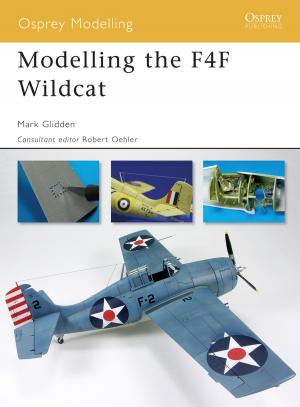 Cover of the book Modelling the F4F Wildcat by Professor Alison Findlay, Professor Vassiliki Markidou