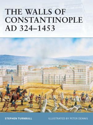 Cover of the book The Walls of Constantinople AD 324–1453 by Robert N. McCauley, E. Thomas Lawson