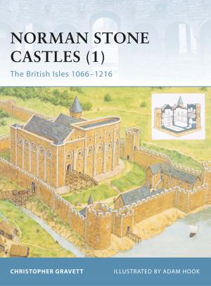 Book cover of Norman Stone Castles (1)