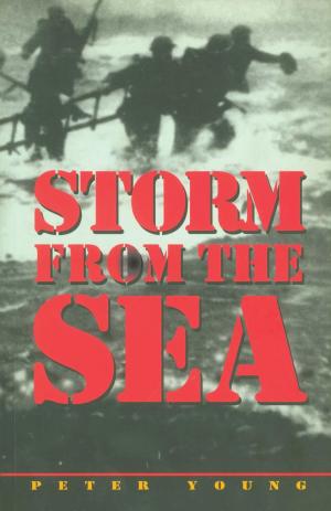 bigCover of the book Storm from the Sea by 