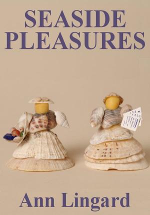 Cover of the book Seaside Pleasures by JD Nixon