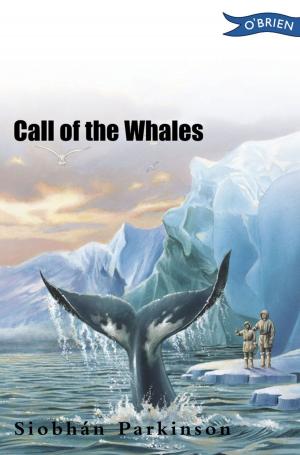 Cover of the book Call of the Whales by Sheila Bugler