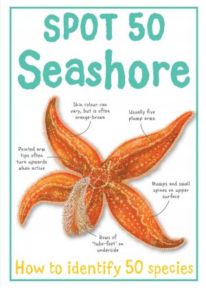 Book cover of Spot 50 Seashore