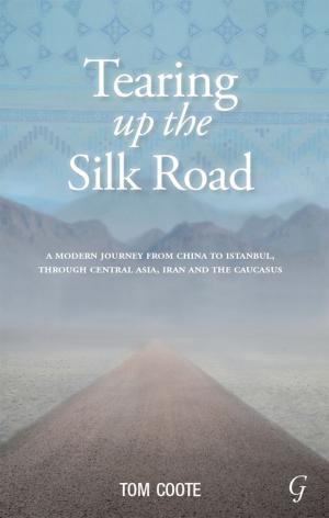 Cover of the book Tearing up the Silk Road by Olivier Godin