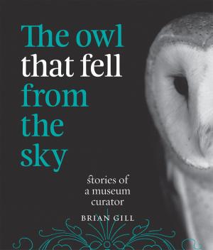 Cover of the book The Owl That Fell from the Sky: Stories of a Museum Curator by Mary  Mountier