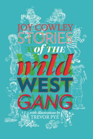 Book cover of Stories of the Wild West Gang
