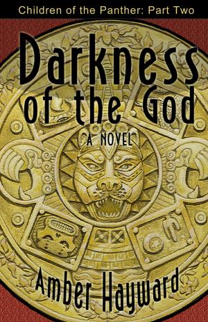 Cover of the book Darkness of the God by Randy McCharles