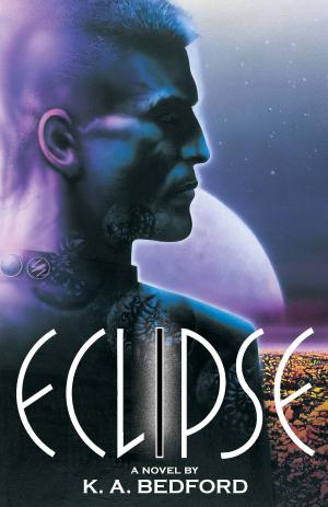 Cover of the book Eclipse by Jesper Schmidt