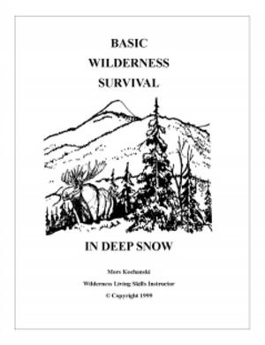 Book cover of Basic Wilderness Survival in Deep Snow