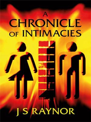 bigCover of the book A Chronicle of Intimacies by 