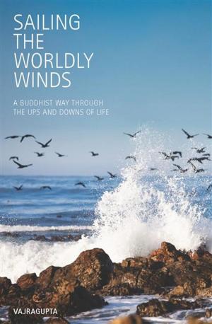 Cover of the book Sailing the Worldly Winds by Bob Warden
