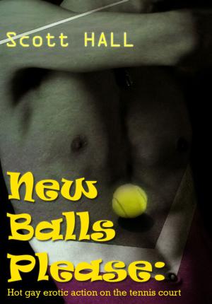 Cover of the book New Balls Please: Hot gay erotic action on the tennis court by Rod Cross, Crawford Lindsey