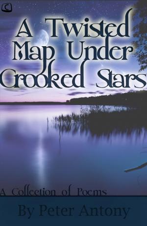 Cover of the book A Twisted Map Under Crooked Stars by Pam and Lee Hunter