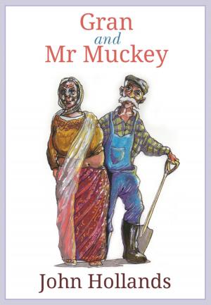 Cover of the book Gran and Mr Muckey by Priscilla Calderini