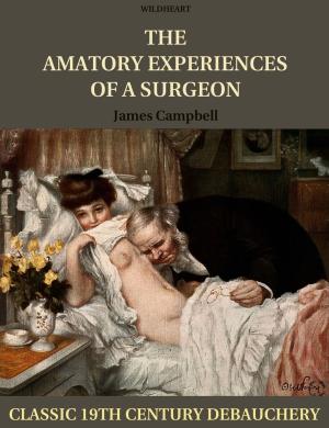 Cover of the book The Amatory Experiences of a Surgeon by Anna Patterson