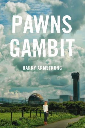 bigCover of the book Pawn's Gambit by 
