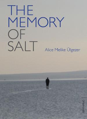 Cover of the book The Memory of Salt by Suneeta Peres da Costa