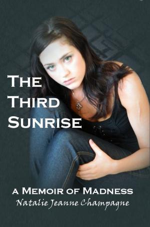 Cover of the book The Third Sunrise: a Memoir of Madness by Chris Bennett