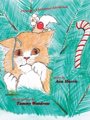 Book cover of Thomas's Christmas Adventure