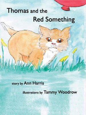 Book cover of Thomas and the Red Something