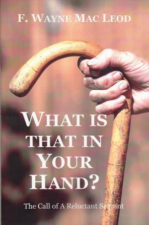 Book cover of What is That In Your Hand?
