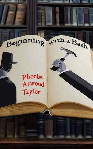 bigCover of the book Beginning with a Bash by 