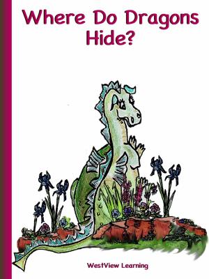 Book cover of Where Do Dragon's Hide?