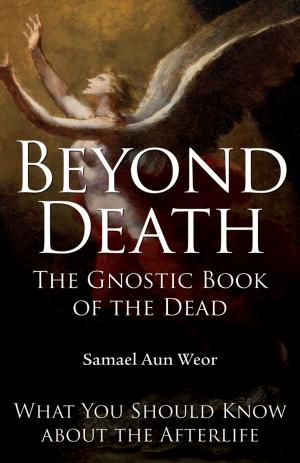 bigCover of the book Beyond Death: The Gnostic Book of the Dead by 