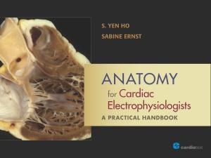Cover of the book Anatomy for Cardiac Electrophysiologists: A Practical Handbook by N. A. Mark Estes III, MD, Albert Waldo, MD, PhD (Hon)